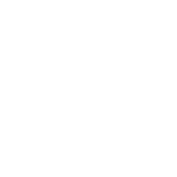 SICHERHEITSDIENST SISSACH